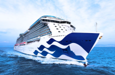 Zdjecie statku Majestic Princess