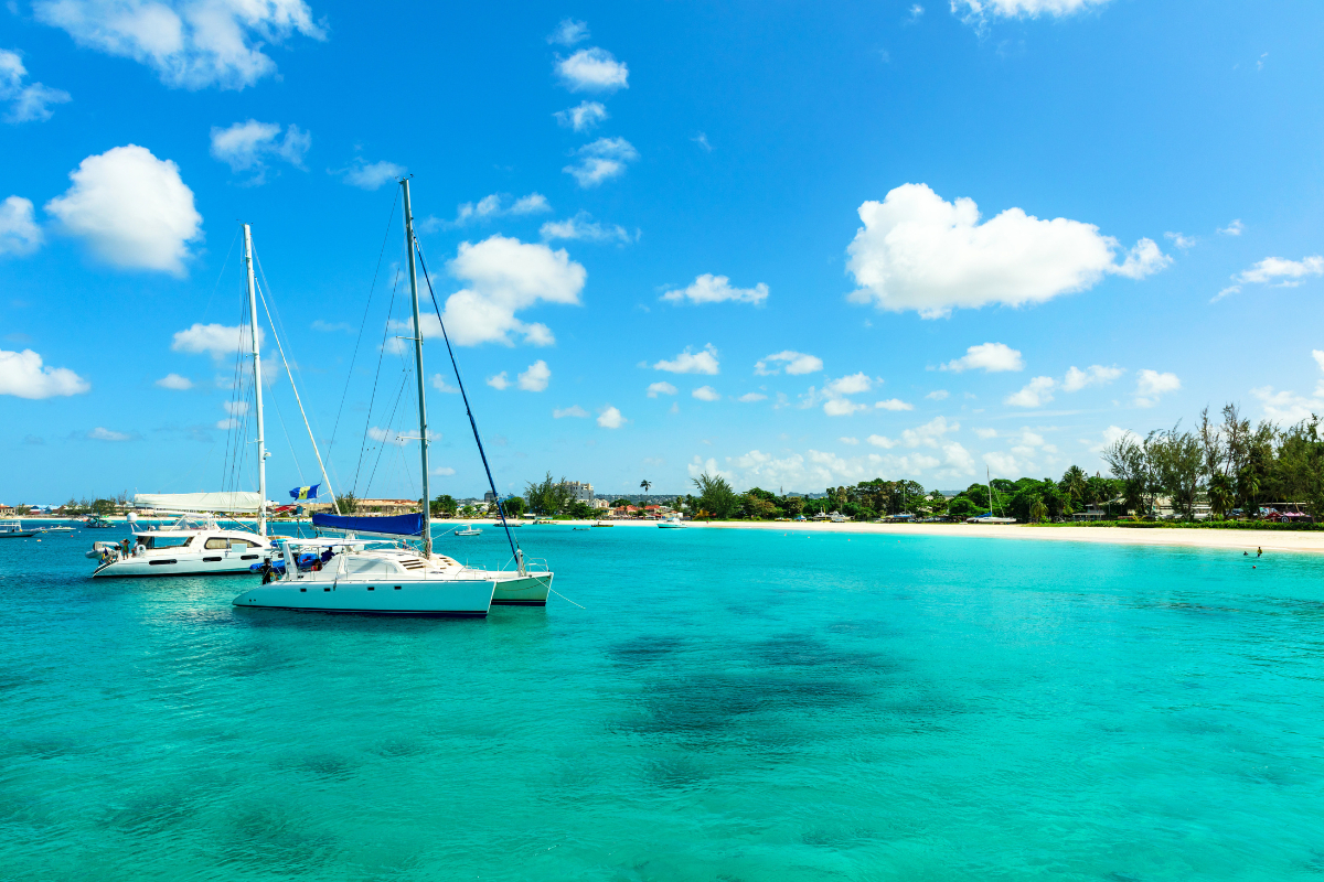 Harbor Image