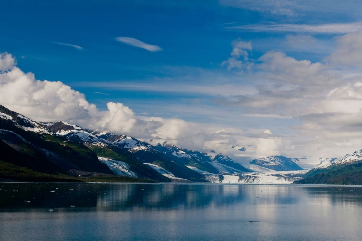 College Fjord ( rejs widokowy)