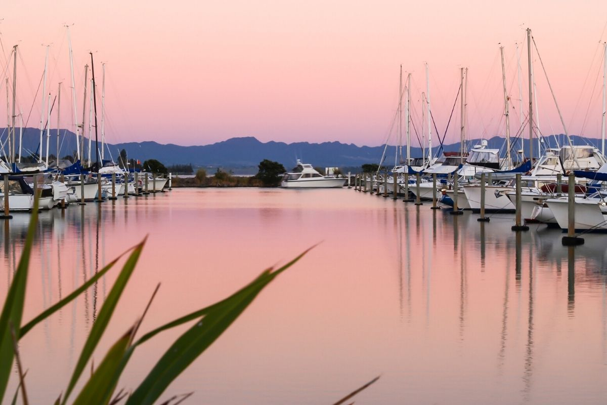 Harbor Image