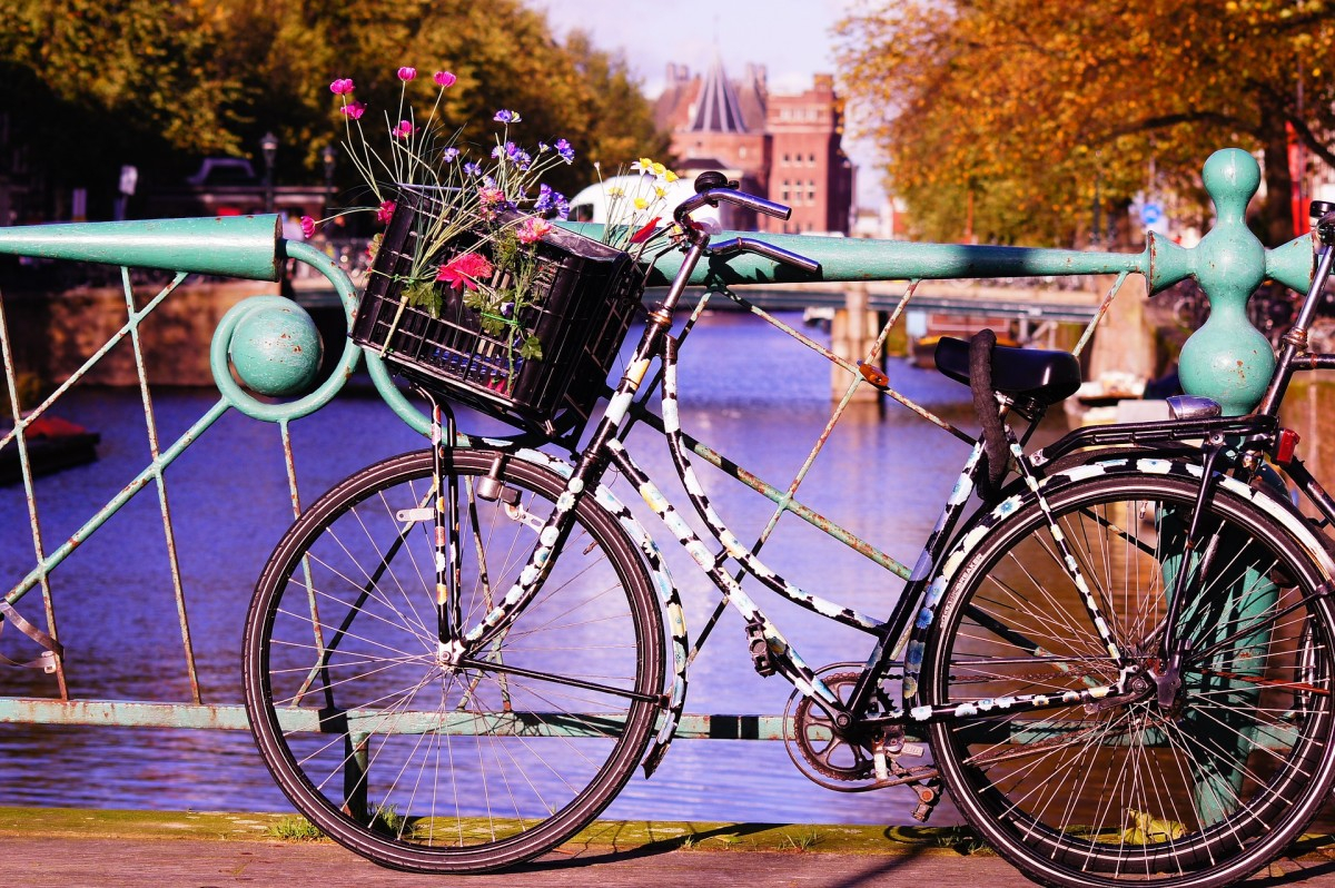 Harbor Image