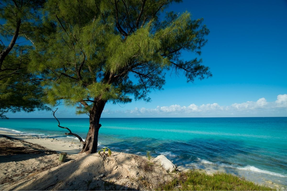 Bimini Island