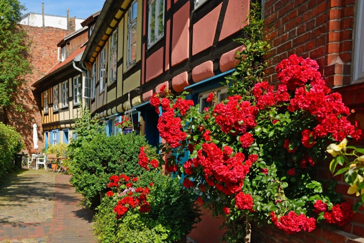 Harbor Image