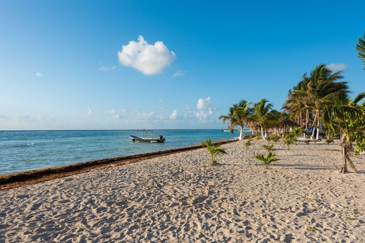 Costa Maya