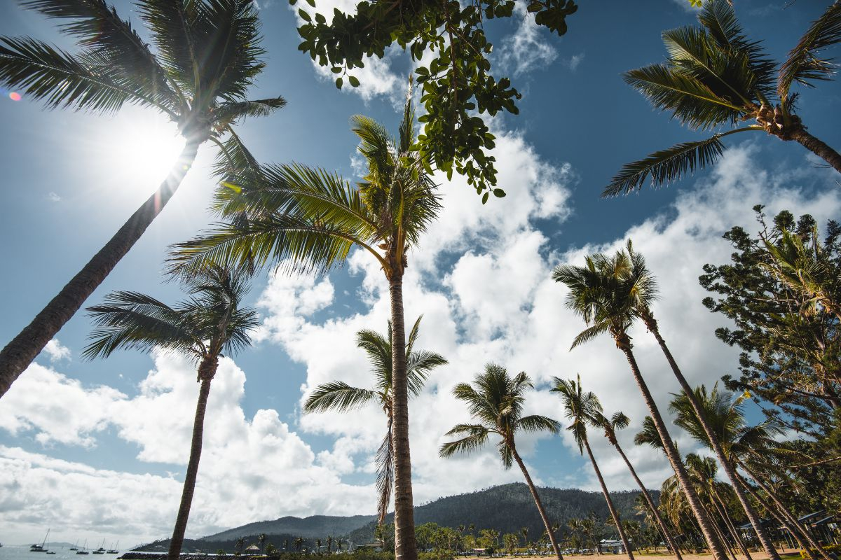 Airlie Beach