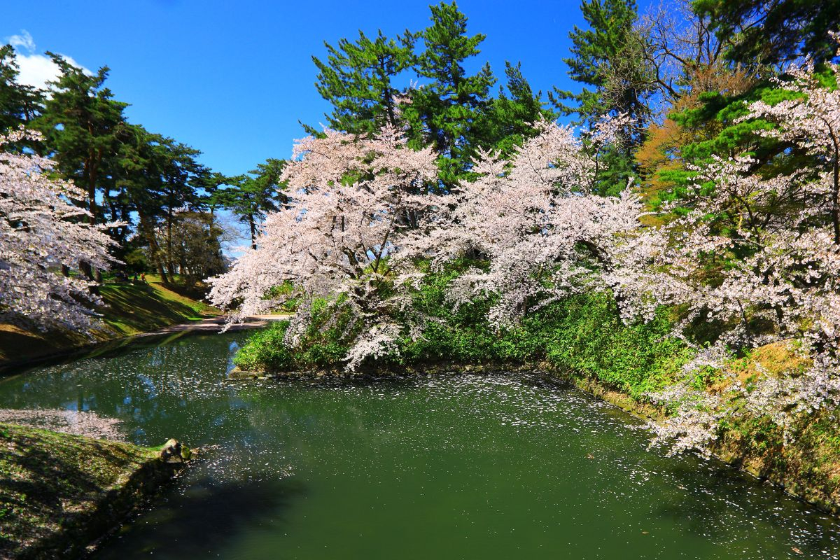 Aomori