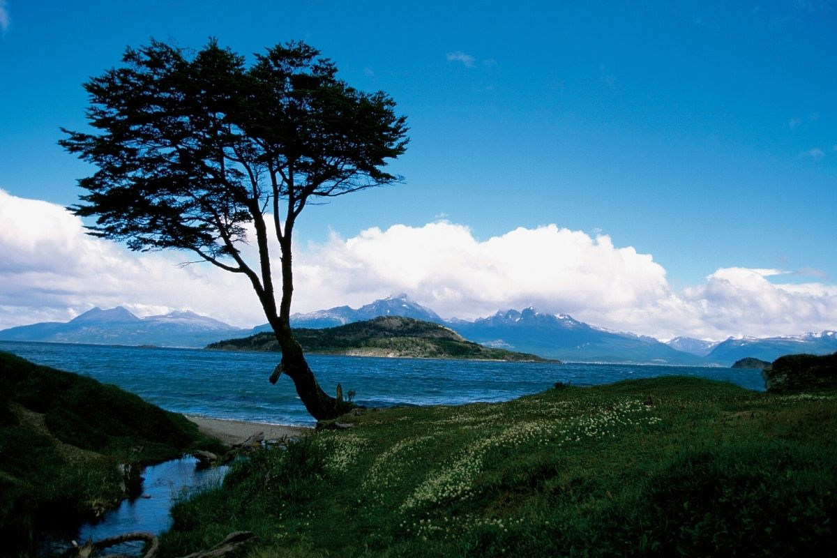 Harbor Image