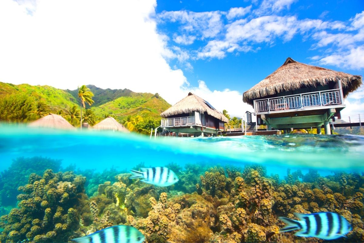 Moorea